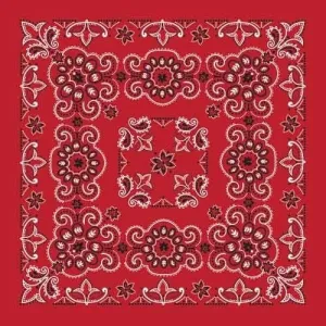 BD2507 Bandana Texas Paisley Red [27" x27"]