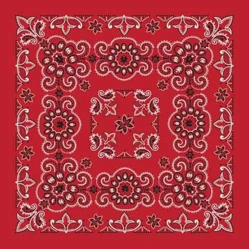 BD2507 Bandana Texas Paisley Red [27" x27"]